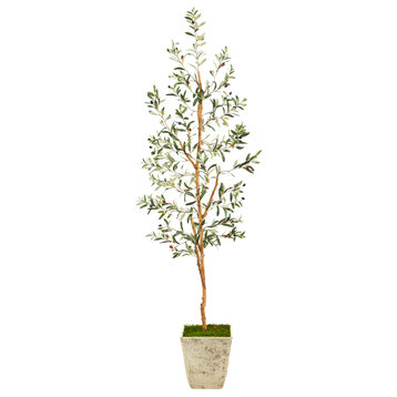 70" Olive Artificial Tree, Country White Planter