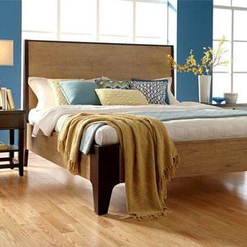 Casual Modern Master Bedroom