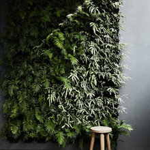 Outdoor Green Wall