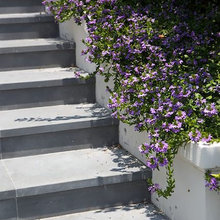 Bluestone Stairs
