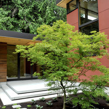 Landscape front
