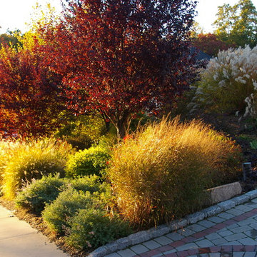 A Landscape of Constant Color