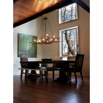 Contemporary Remodel