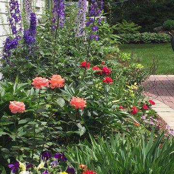 Cut Flowers and Perennial Gardens