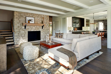 Inspiration for a transitional living room remodel in Milwaukee