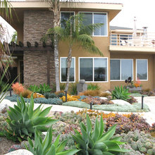 Landscape Planting