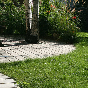 "Calmness and Light in the Secret Garden"