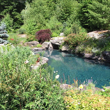 Natural boulder pool