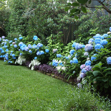 My Houzz: Peek Inside an Artist’s Updated Shotgun Home and Studio