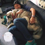 Shirley Lu's photo
