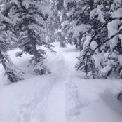 Colleen Huigen-Murphy's photo