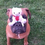 Trish Coffey's photo