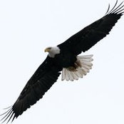 Rick Krehbiel's photo