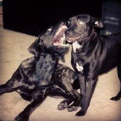 Phil Yonker's photo
