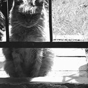 Leila Facchini's photo