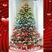 Evangelist Carter's photo