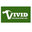 Vivid Contracting