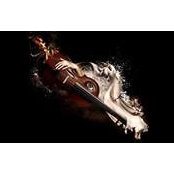 Jasmin Singh's photo