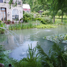 pond