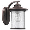 Liam Transitional 1-Light Outdoor Wall Sconce, Rubbed Bronze, 11" Height