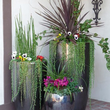 Exterior Services