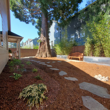 Patio under the Redwood Tree