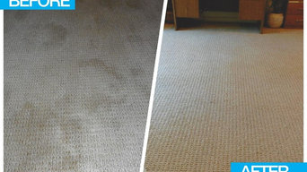 De Lacy Carpet Cleaning