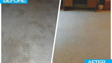 Best 15 Carpet Cleaners In Fair Oaks Ca Houzz