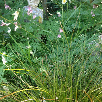 Plant Inspiration