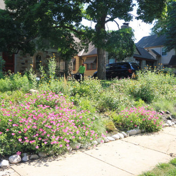 Native Plant Landscaping, Hardscaping, and Bioswales