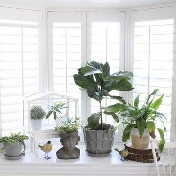 Polywood Shutters Specialty Shaped Windows