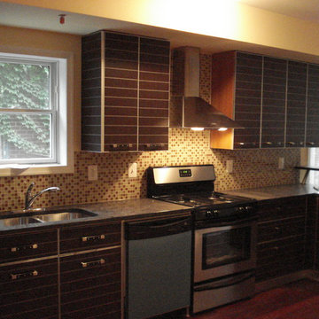 Duplex and Condo Project in Philadelphia