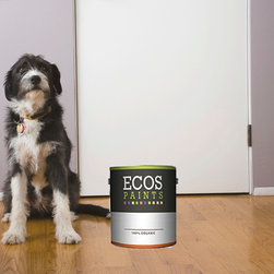 ECOS Dog House Paint - Paint