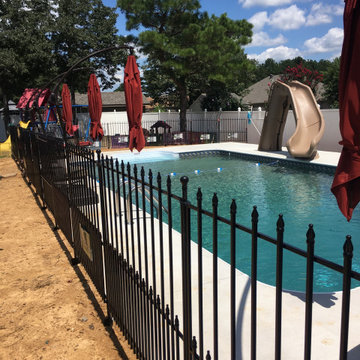 Pool landscaping and patio