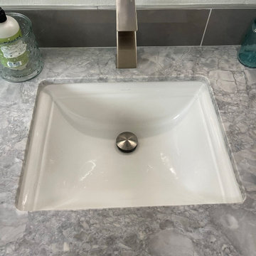 Master Bathroom Renovation