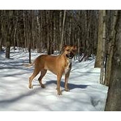 Naomi Baril's photo