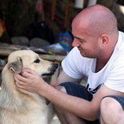 David Fallows's photo