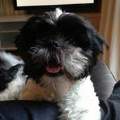 Olivia Dyer's photo