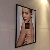 Johnny Nguyễn's photo