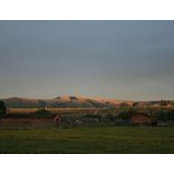 Phillip Menashe's photo