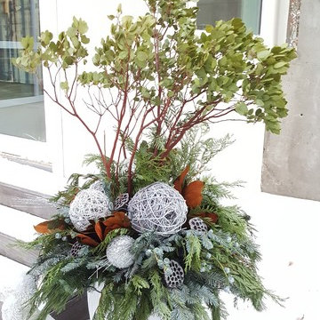 Winter and Christmas Containers