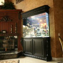 dining room fish tank