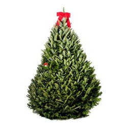 Fresh-Cut Premium Fraser Fir - Christmas Trees
