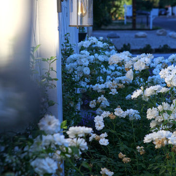 Tarazana Farm house
