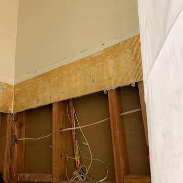 BEFORE PIC - Data & Electrical Lines Behind the Shower Wall