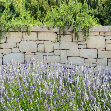 Outdoor Spaces