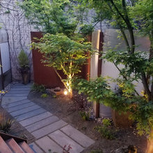 Backyard ideas