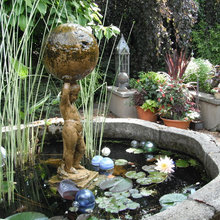 Landscape Pond