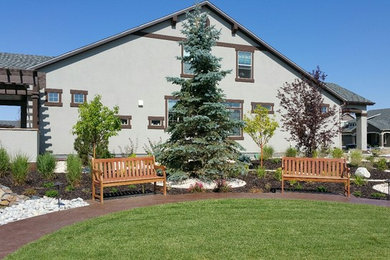 Design ideas for a transitional landscaping in Denver.
