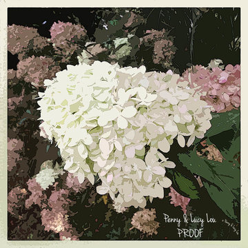 Florists' Delight